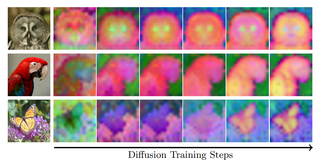 CoReDi: Coevolving Representations in Joint Image-Feature Diffusion