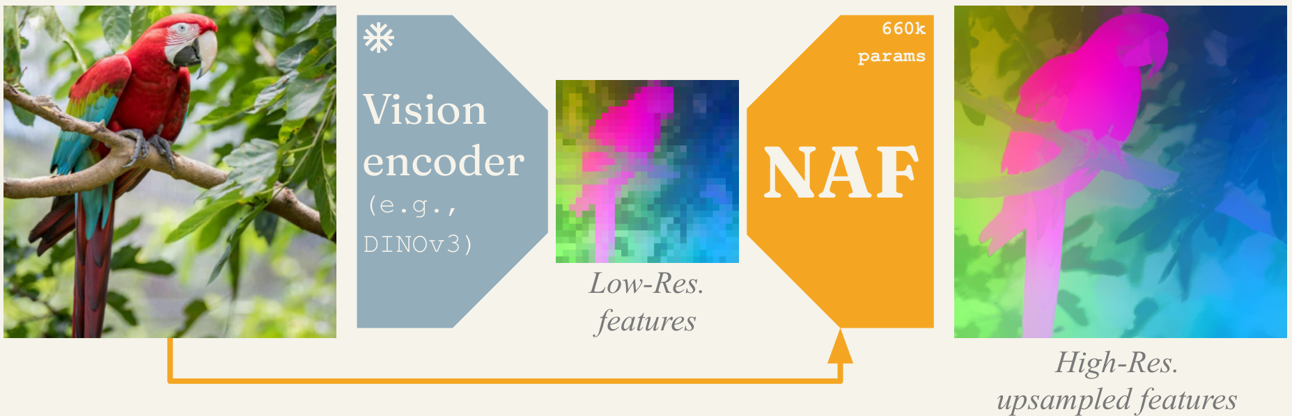 NAF: Zero-Shot Feature Upsampling via Neighborhood Attention Filtering